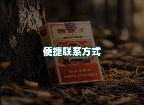 核心优势